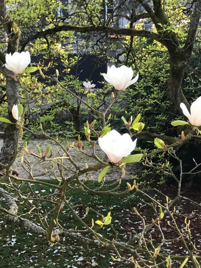 L'Atelier Des Magnolias Bed & Breakfast Aumont-en-Halatte Bagian luar foto